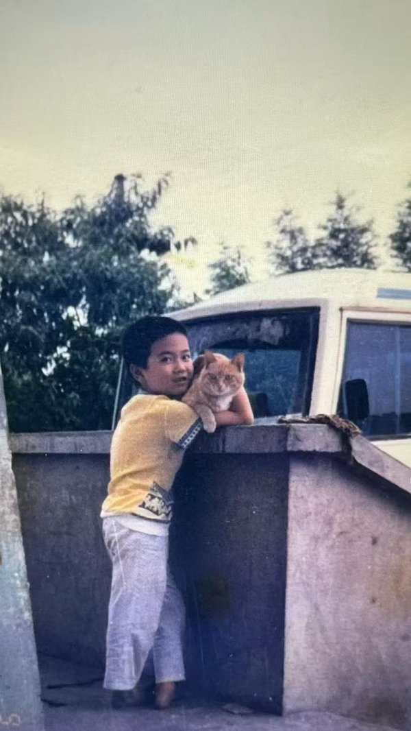 股票配资学 直播间里的宠物食品电商：站在“铲屎官”角度，让“毛孩子”吃好